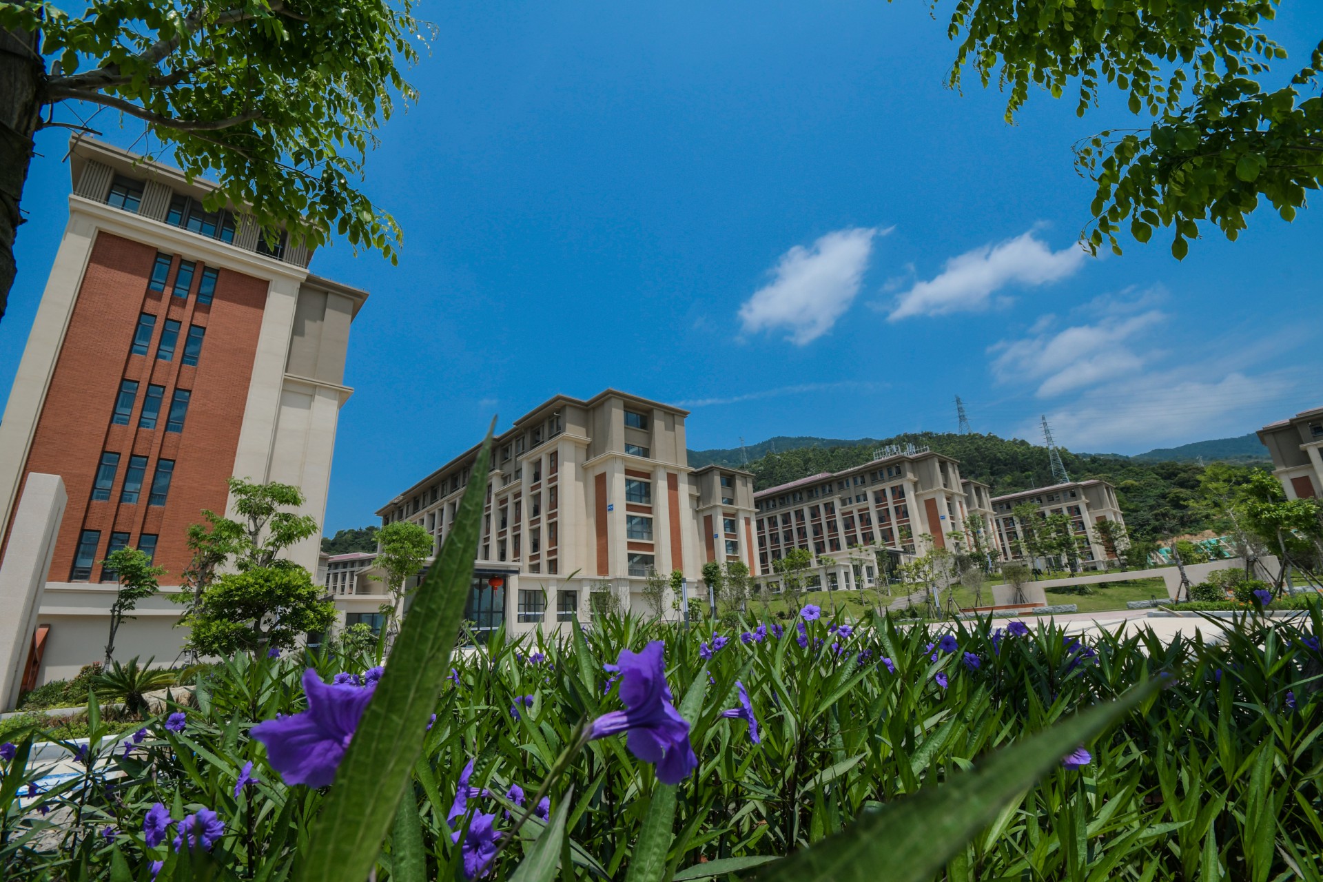 莆田学院照片风景图片